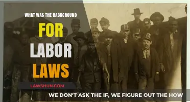 The Historical Evolution and Necessity of Labor Laws Explained