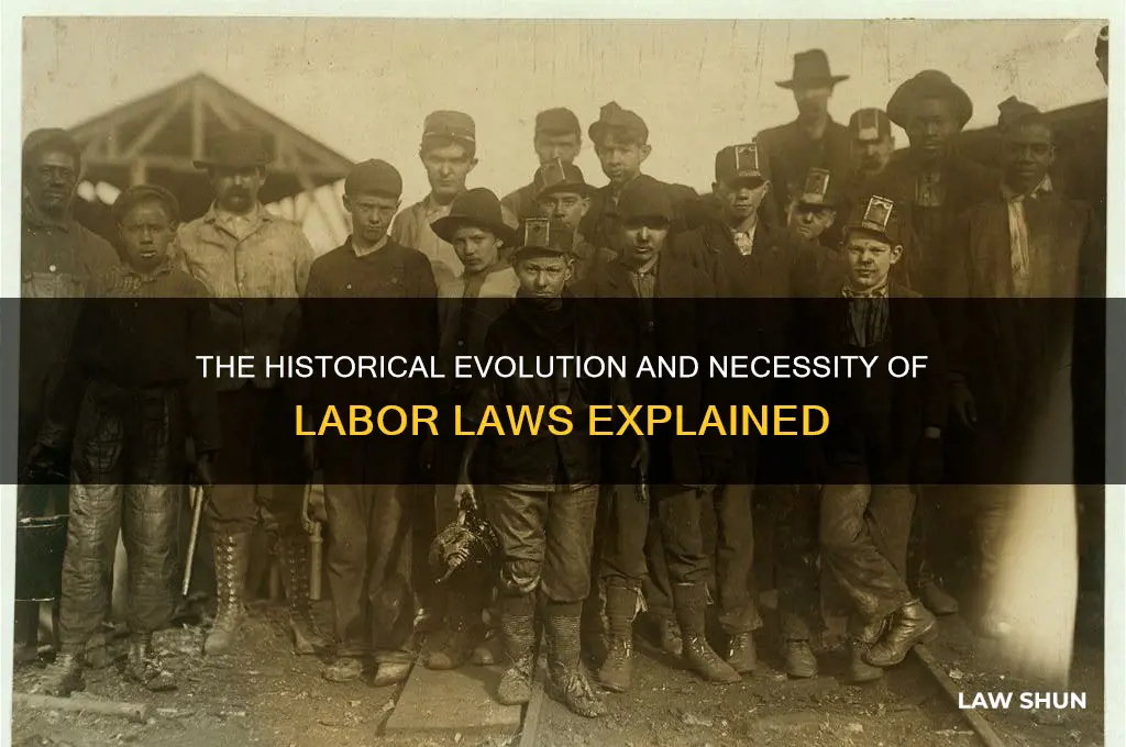 what was the background for labor laws