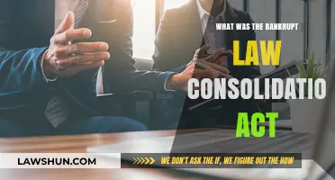 Understanding the Bankruptcy Law Consolidation Act: A Comprehensive Overview
