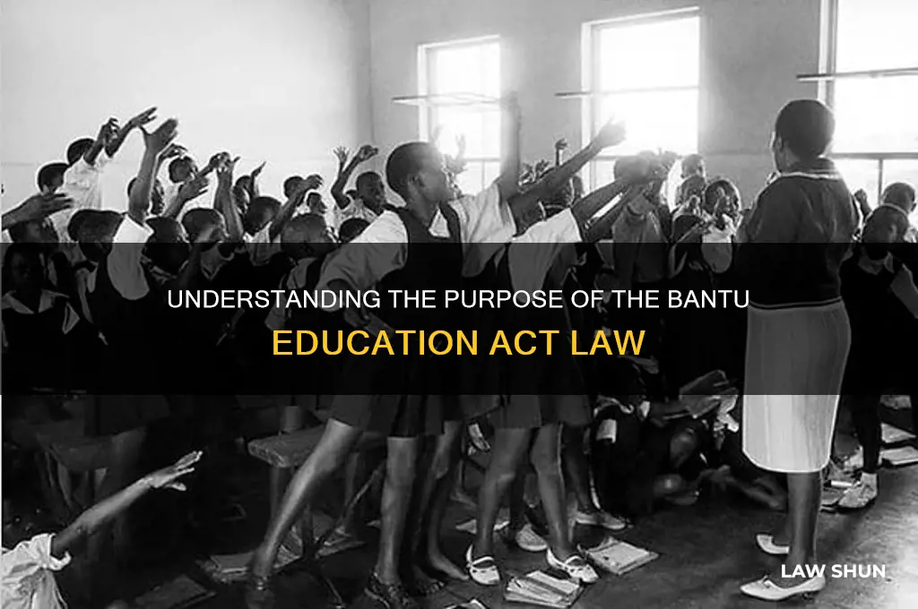 what was the bantu education act law intended to do