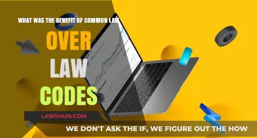 Common Law: Flexibility and Fairness Over Codes