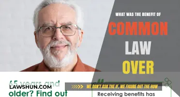 Common Law: A Historical Advantage