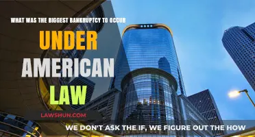 The Biggest Bankruptcy in American History: A Legal and Financial Analysis