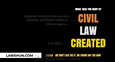 Civil Law's Historical Foundation Explored