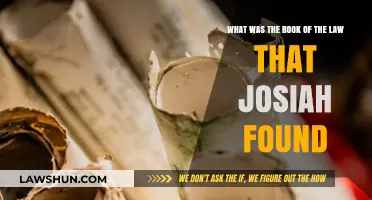 Josiah's Discovery: Unveiling the Lost Book of the Law