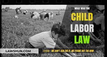 Understanding the Child Labor Law: History, Impact, and Modern Relevance
