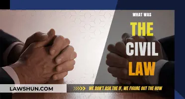 Understanding Civil Law: Origins, Principles, and Historical Impact Explained