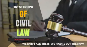 Understanding the Corpus of Civil Law: Origins, Structure, and Legacy