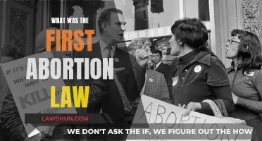 The First Abortion Law: A Historical Perspective