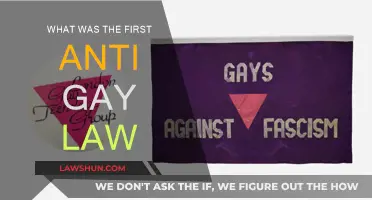 The Earliest Anti-Gay Laws: A Historical Perspective