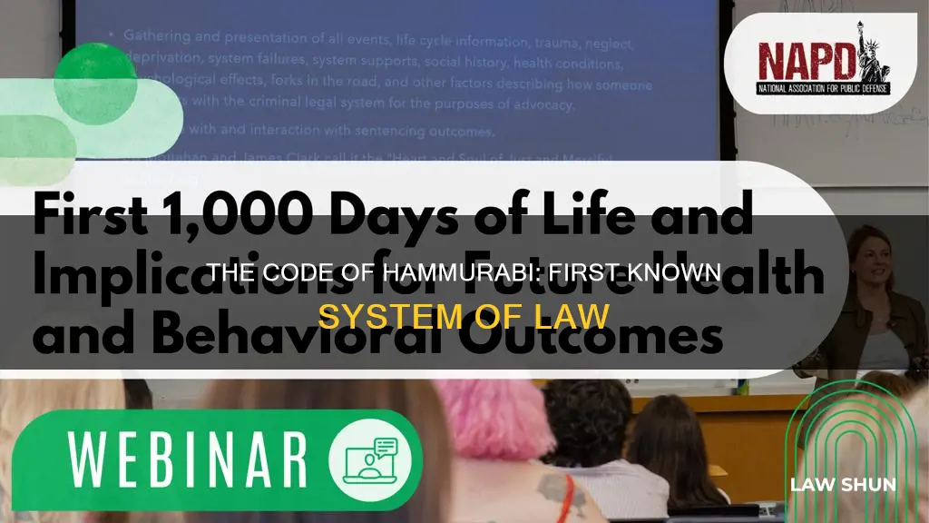 what was the first known system of law