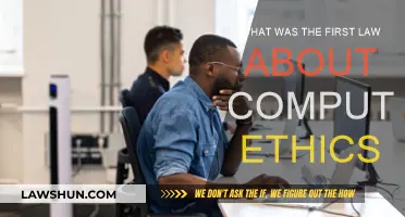The First Computer Ethics Law: A Historical Overview
