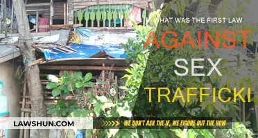 The First Anti-Sex Trafficking Law: A Historical Perspective
