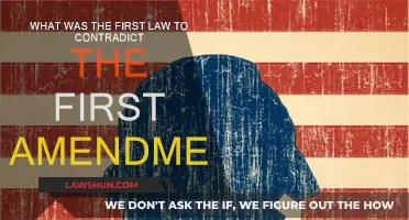 The First Amendment: What Law Contradicted It?