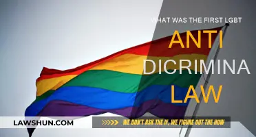 The First Steps Towards LGBT Anti-Discrimination Laws