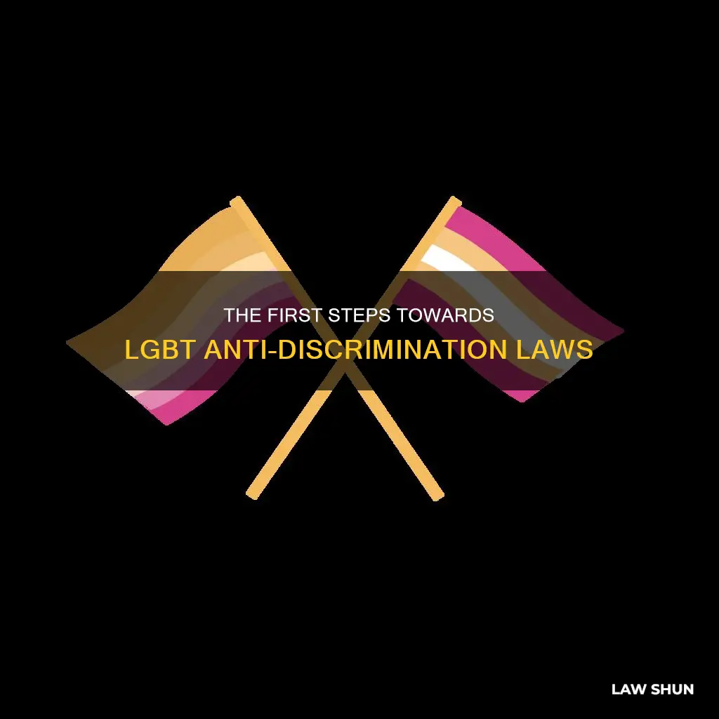 what was the first lgbt anti dicrimination law