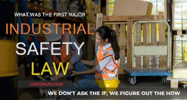 Industrial Revolution: First Major Safety Law