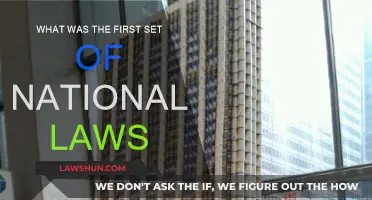 The First National Laws: Ancient Codes and Modern Legacy