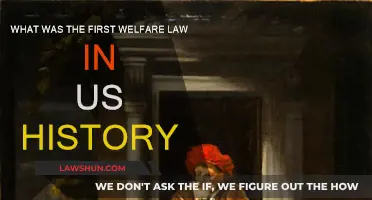The First Welfare Law: A Historical Overview