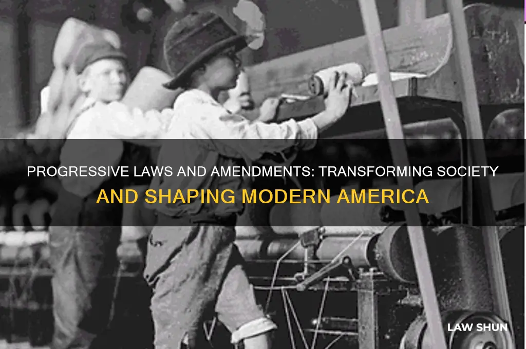 what was the impact of the progressive laws and amendments