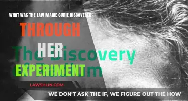 Marie Curie's Groundbreaking Discovery: Unveiling Radioactivity's Laws