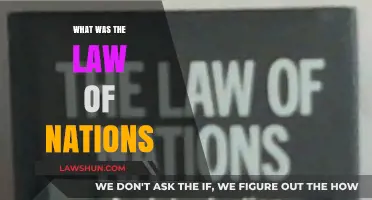 Exploring the Historical Foundations: What Was the Law of Nations?