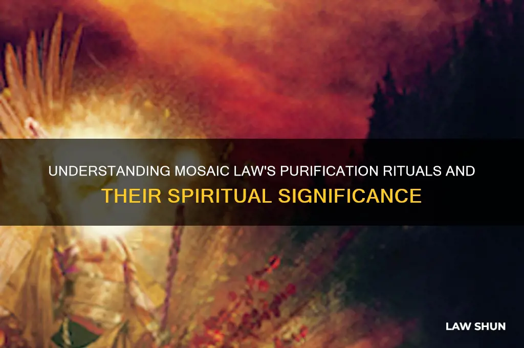 what was the law of purification under the mosaic law
