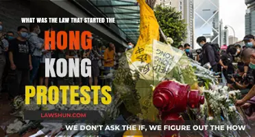 The Fugitive Offenders Law: Sparking Hong Kong's Mass Protests