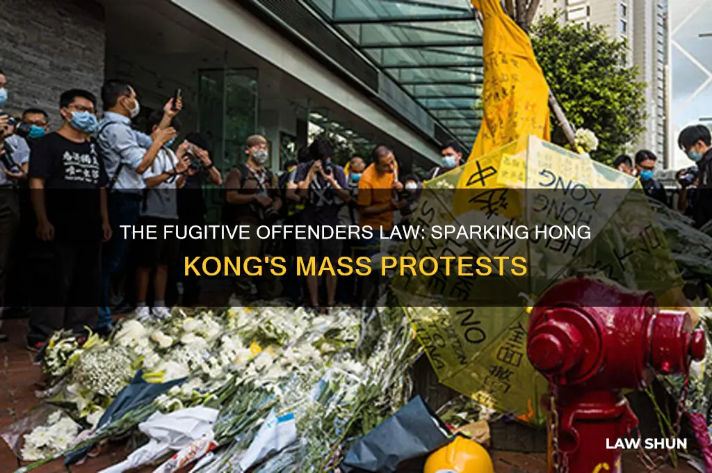 what was the law that started the hong kong protests