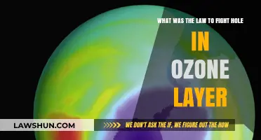 The Montreal Protocol: Global Effort to Heal the Ozone Hole