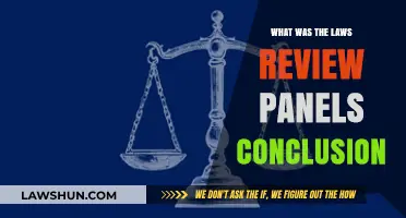 Laws Review Panel's Conclusion: Key Findings and Implications Explained