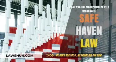 Nebraska's Safe Haven Law: Unintended Consequences and Legal Challenges