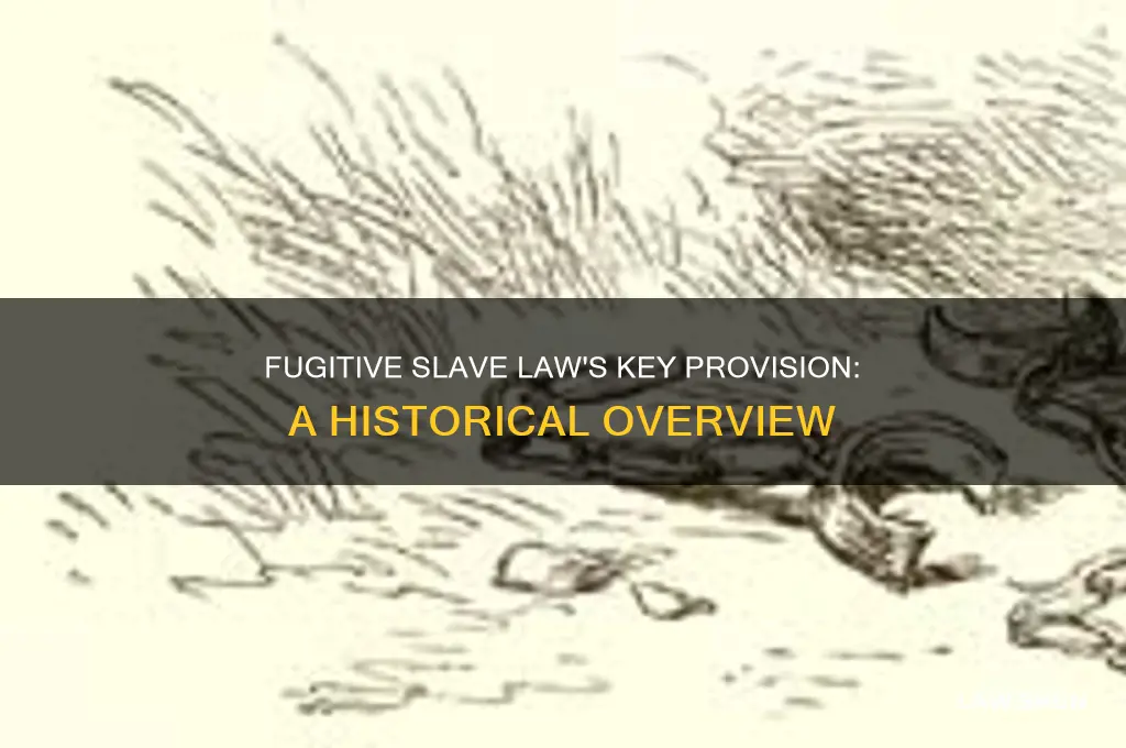 what was the main provision of the fugitive slave law