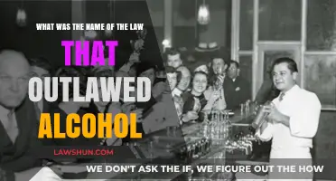 The Prohibition Era: Unveiling the Law That Outlawed Alcohol