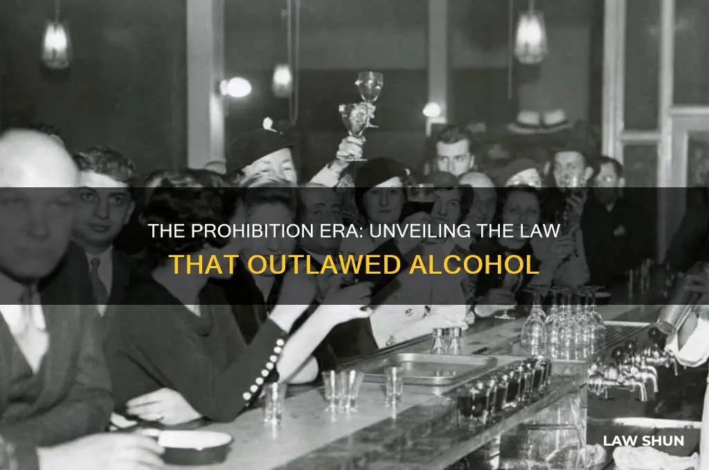 what was the name of the law that outlawed alcohol