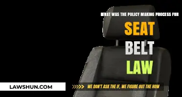 The Evolution of Seat Belt Law Policy Making Process