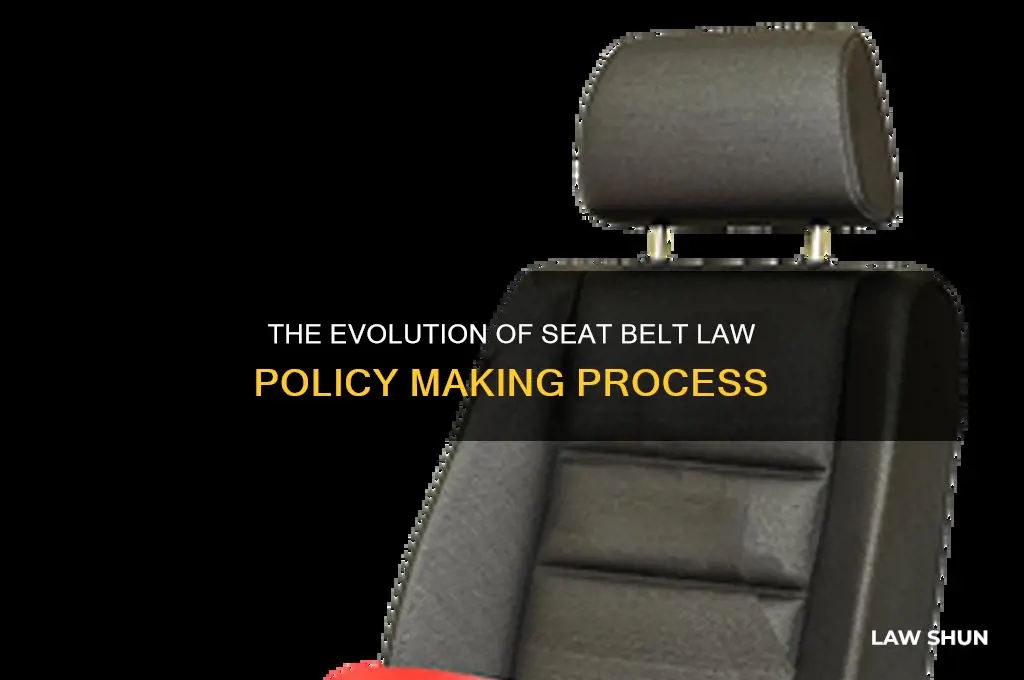 what was the policy making process for seat belt law