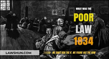 Understanding the Impact of the 1834 Poor Law Reform