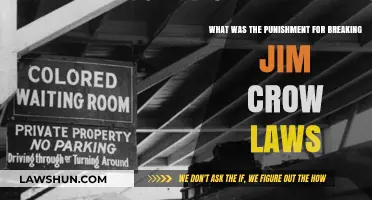 Jim Crow's Harsh Penalties: Understanding the Consequences of Breaking the Laws