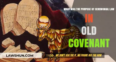 Understanding the Purpose of Ceremonial Law in the Old Covenant