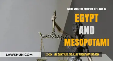Ancient Legal Systems: Egypt and Mesopotamia's Laws and Their Purposes