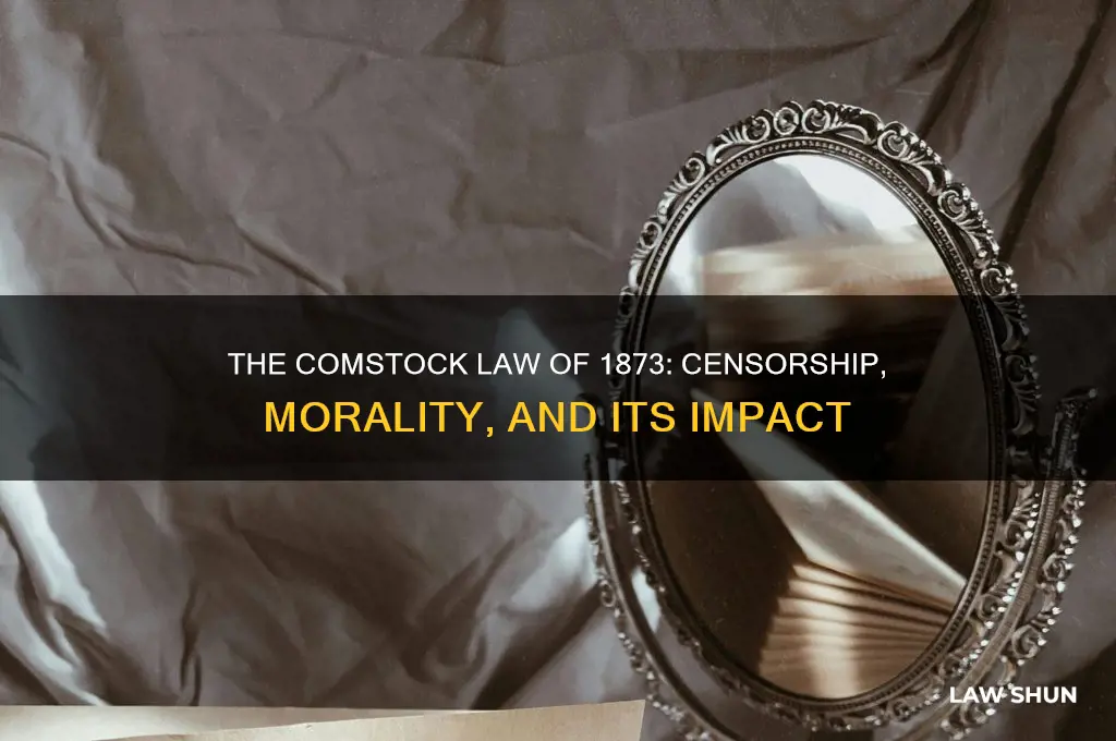 what was the purpose of the comstock law of 1873