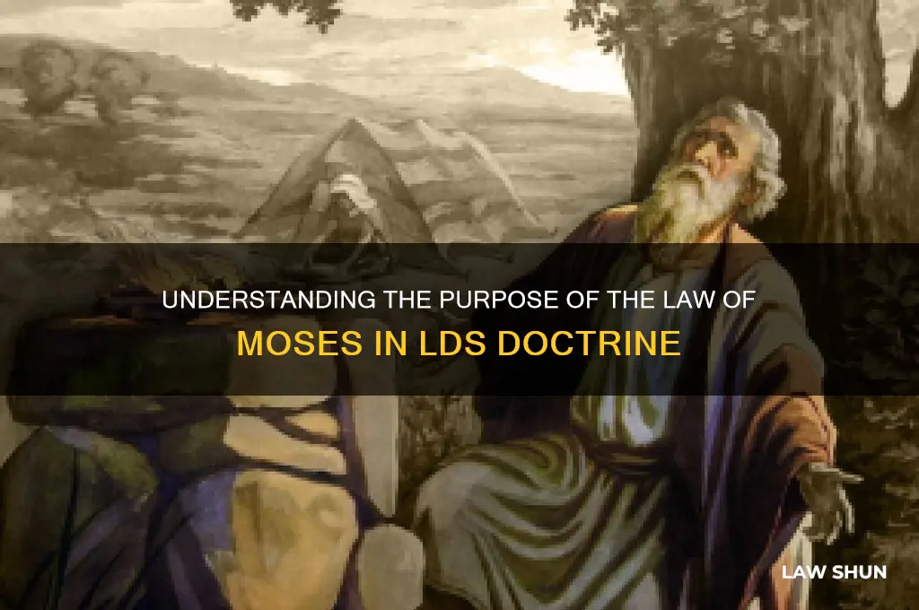 what was the purpose of the law of moses lds