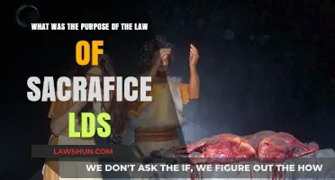 Understanding the Purpose of the Law of Sacrifice in LDS Doctrine