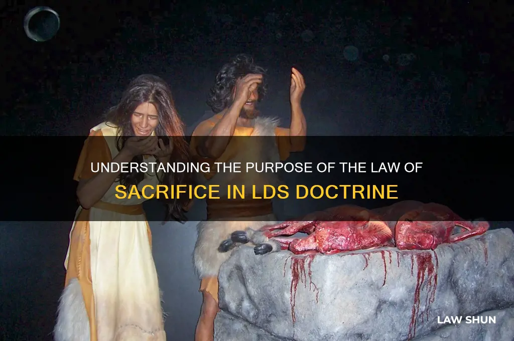 what was the purpose of the law of sacrafice lds