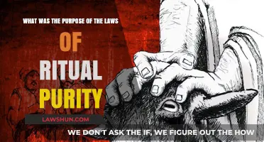 Understanding the Purpose of Ritual Purity Laws in Ancient Traditions