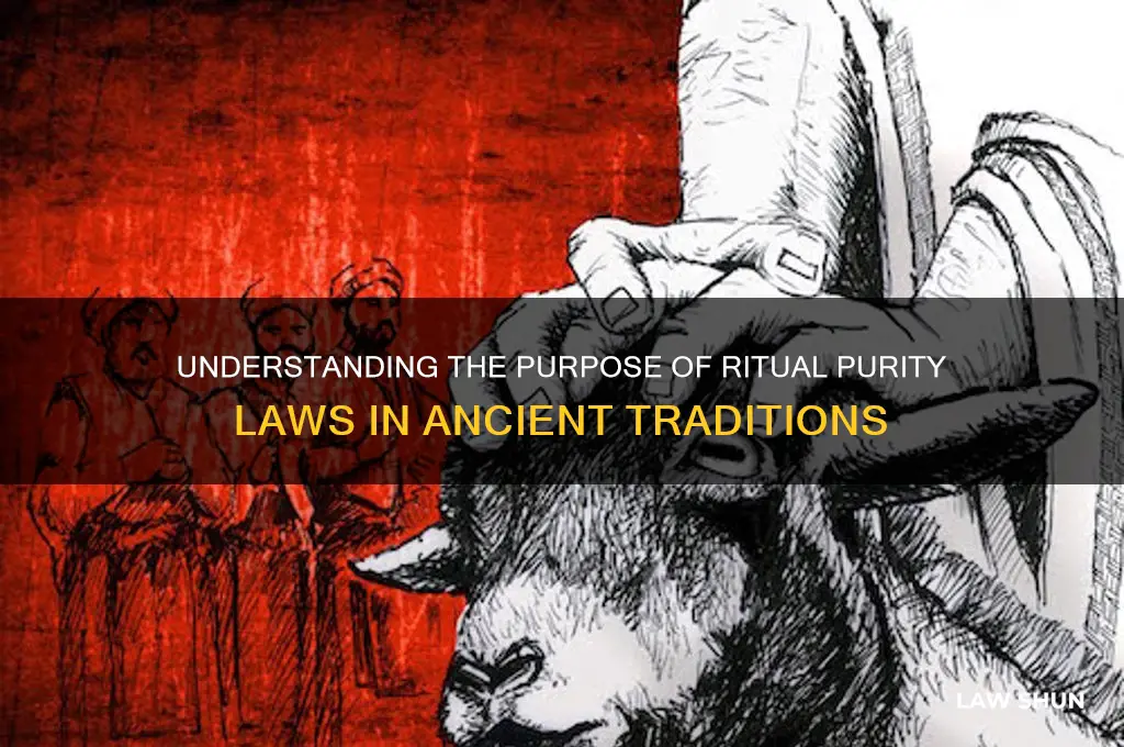 what was the purpose of the laws of ritual purity