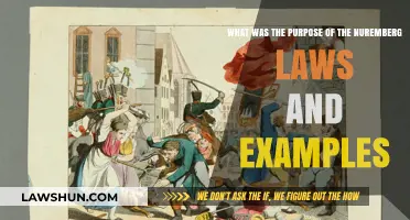 Understanding the Nuremberg Laws: Purpose and Impactful Examples Explained