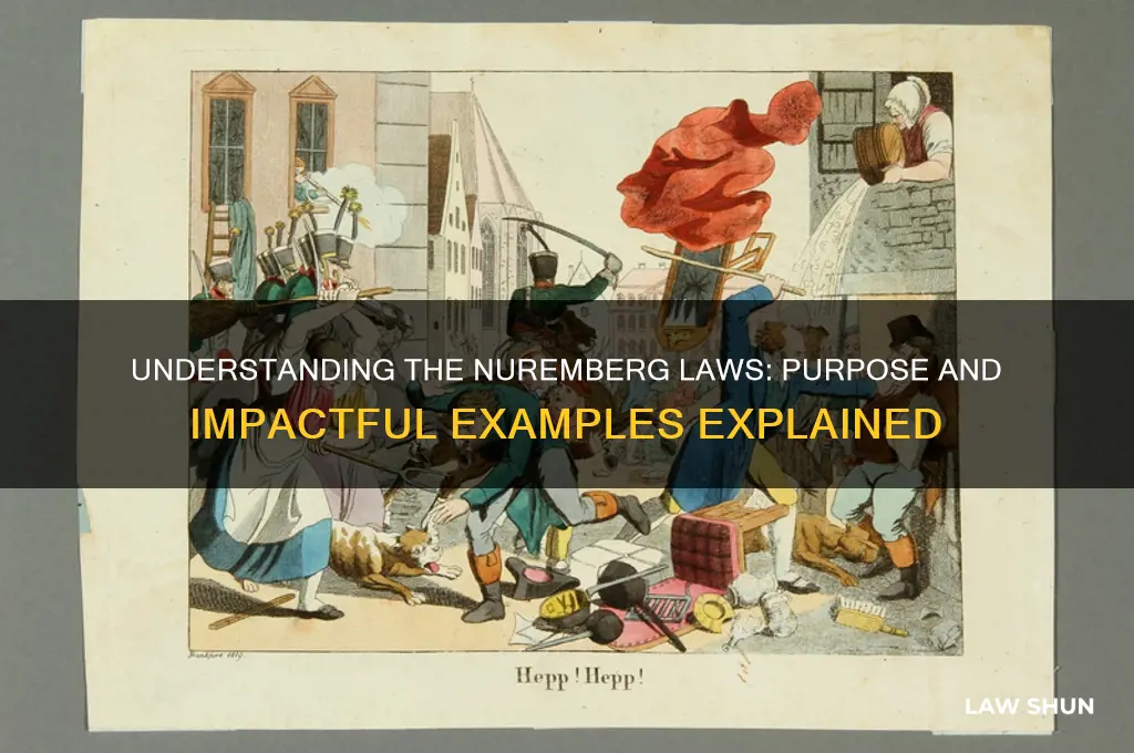 what was the purpose of the nuremberg laws and examples