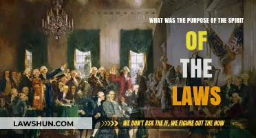 Understanding the Spirit of the Laws: Purpose and Historical Significance